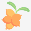 berries