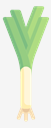 leek