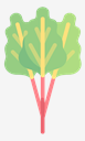rhubarb