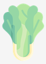 lettuce