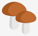 mushroom