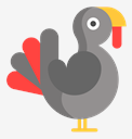 turkey