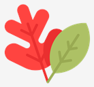leaves