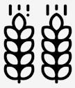 crop