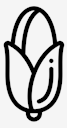 corn