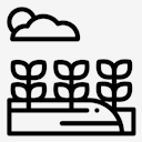 plantation