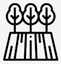 trees