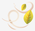 wind