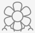 flowers,line