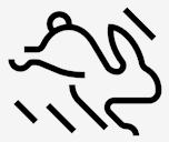 rabbit