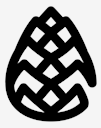 pine,cone