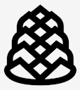 pine,cone
