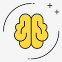 brain