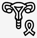uterus