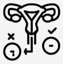 uterus