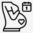 pregnancy