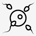 insemination