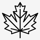 maple,leaf