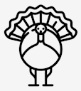 turkey