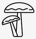 mushrooms