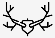 deer,horns