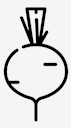 radish