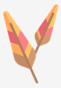 feathers
