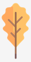 oak,leaf