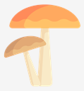 mushrooms