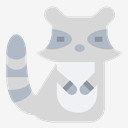 raccoon