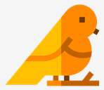 bird