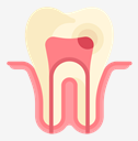 tooth