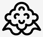 cauliflower