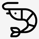 shrimp