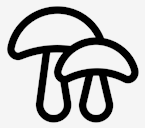 mushroom