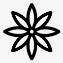 anise