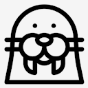 walrus