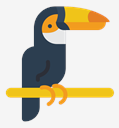 toucan