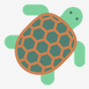 turtle