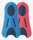 flippers
