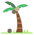 palm,tree