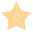 starfish