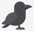 raven