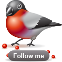 animal,bird,bullfinch,twitter