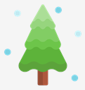 pine,tree
