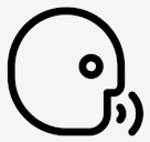 voice