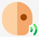voice