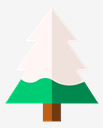 pine,tree