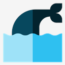 whale