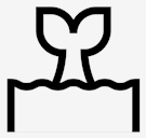 whale